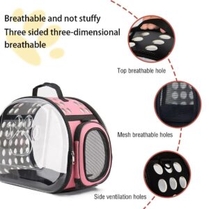Blue Foldable Breathable Pet Carrier with Panoramic Window & Strap - EVA &  Lychee Leather Crossbody Travel Bag (L 42 x 33 x 28.5CM)